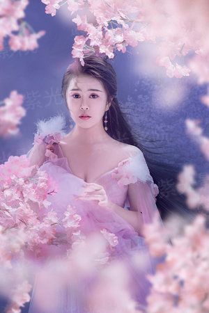 总裁老婆的至尊兵王